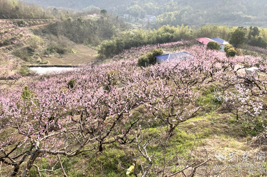 浠水县红色文艺轻骑兵走进丁司垱镇孟家冲村